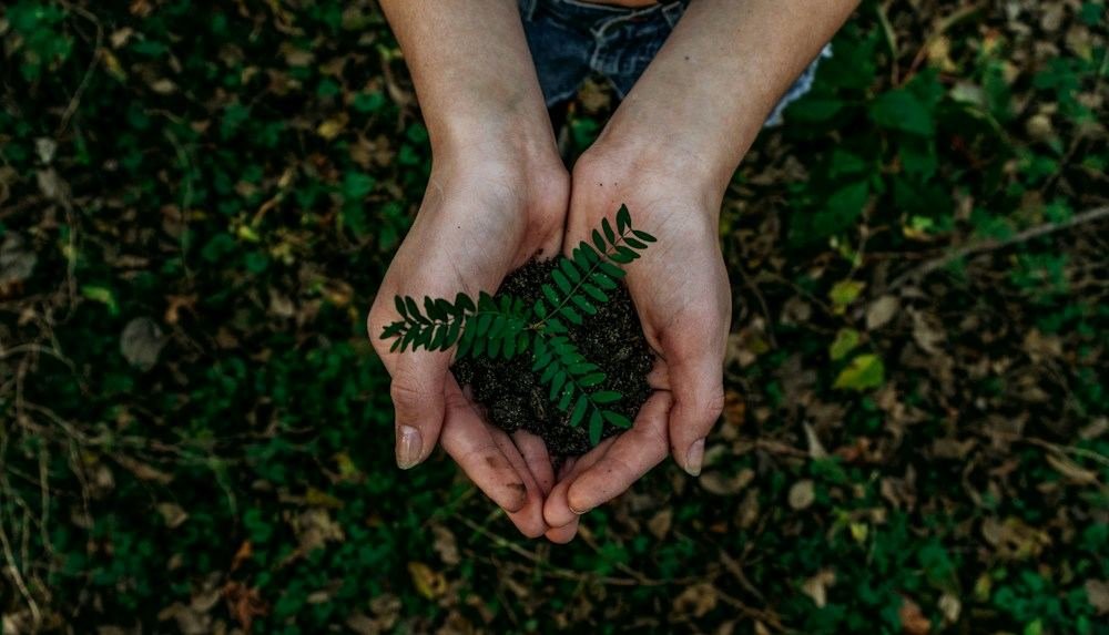 Fotografía ilustrativa de medio ambiente, no corresponde a esta actividad